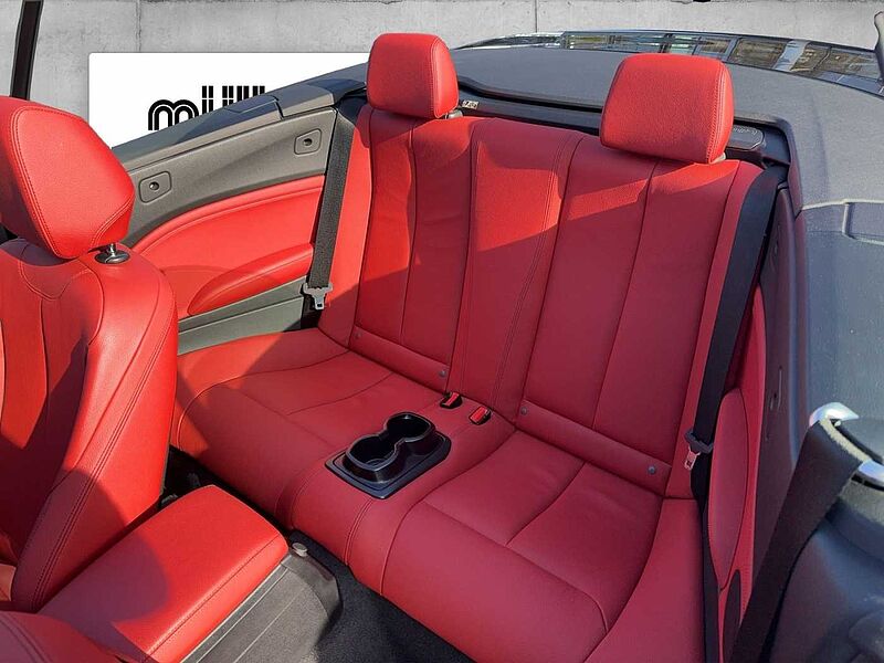 BMW 218 i CABRIO SPORT LINE XENON KLIMAAUTO PDC TEMPO