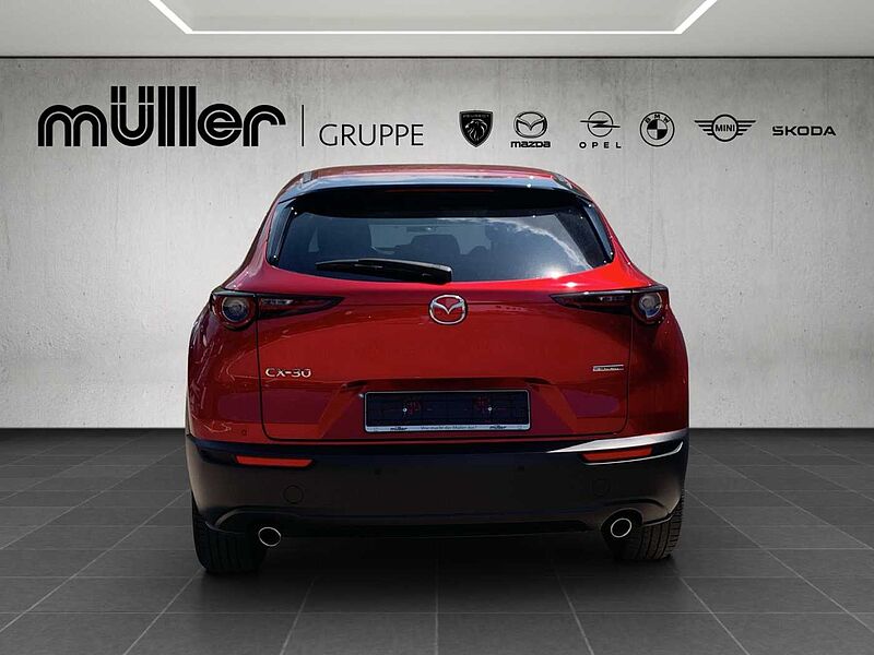 Mazda CX-30 G 122 PS 6GS HOMURA PRE-P