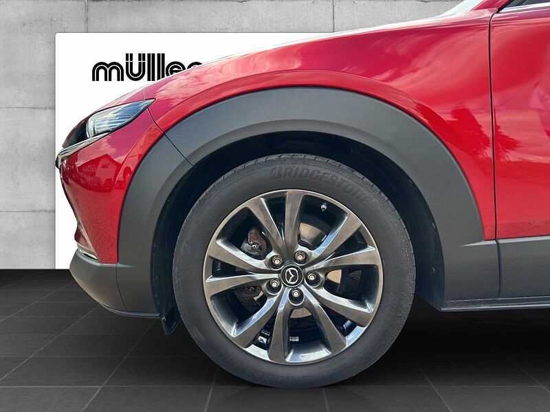 Mazda CX-30 X 186 PS 6AG AL-SELECTION A18-B DES-P